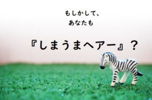しまうまヘアー